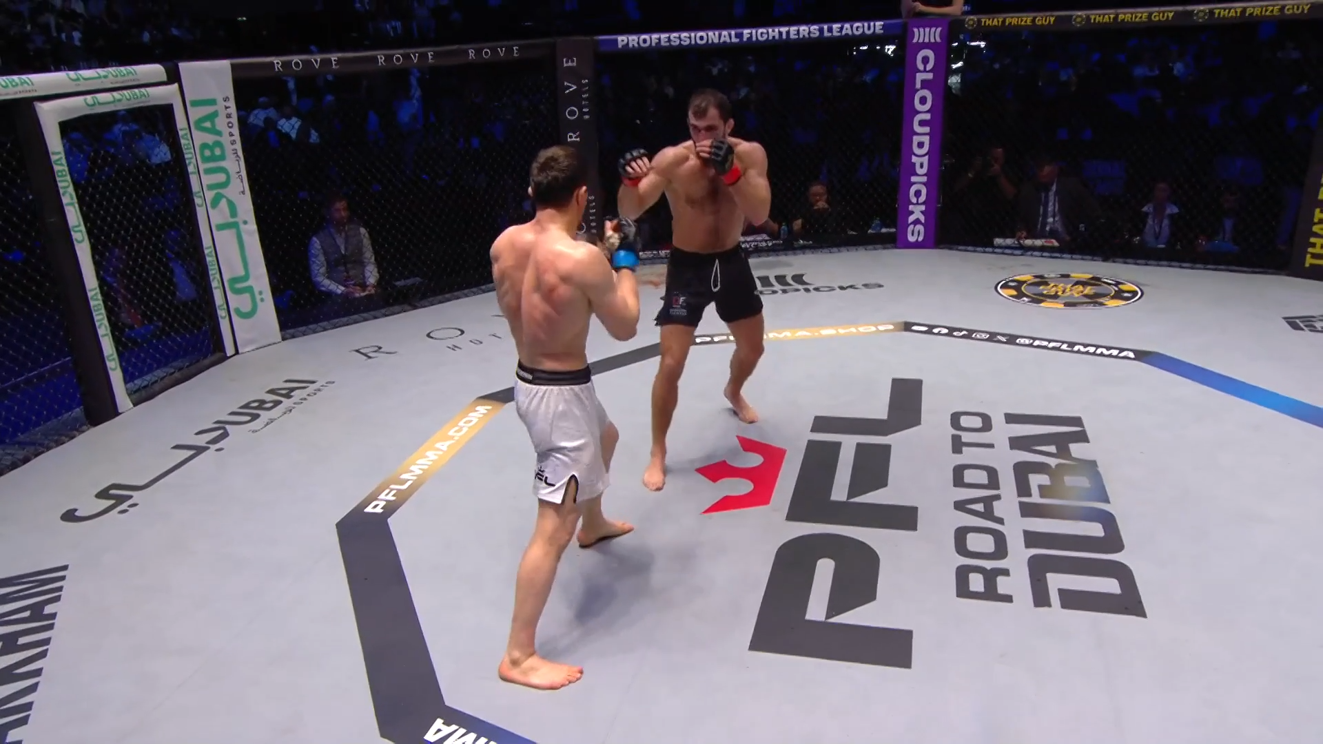 Shamil Musaev vs. Ramazan Kuramagomedov Highlights