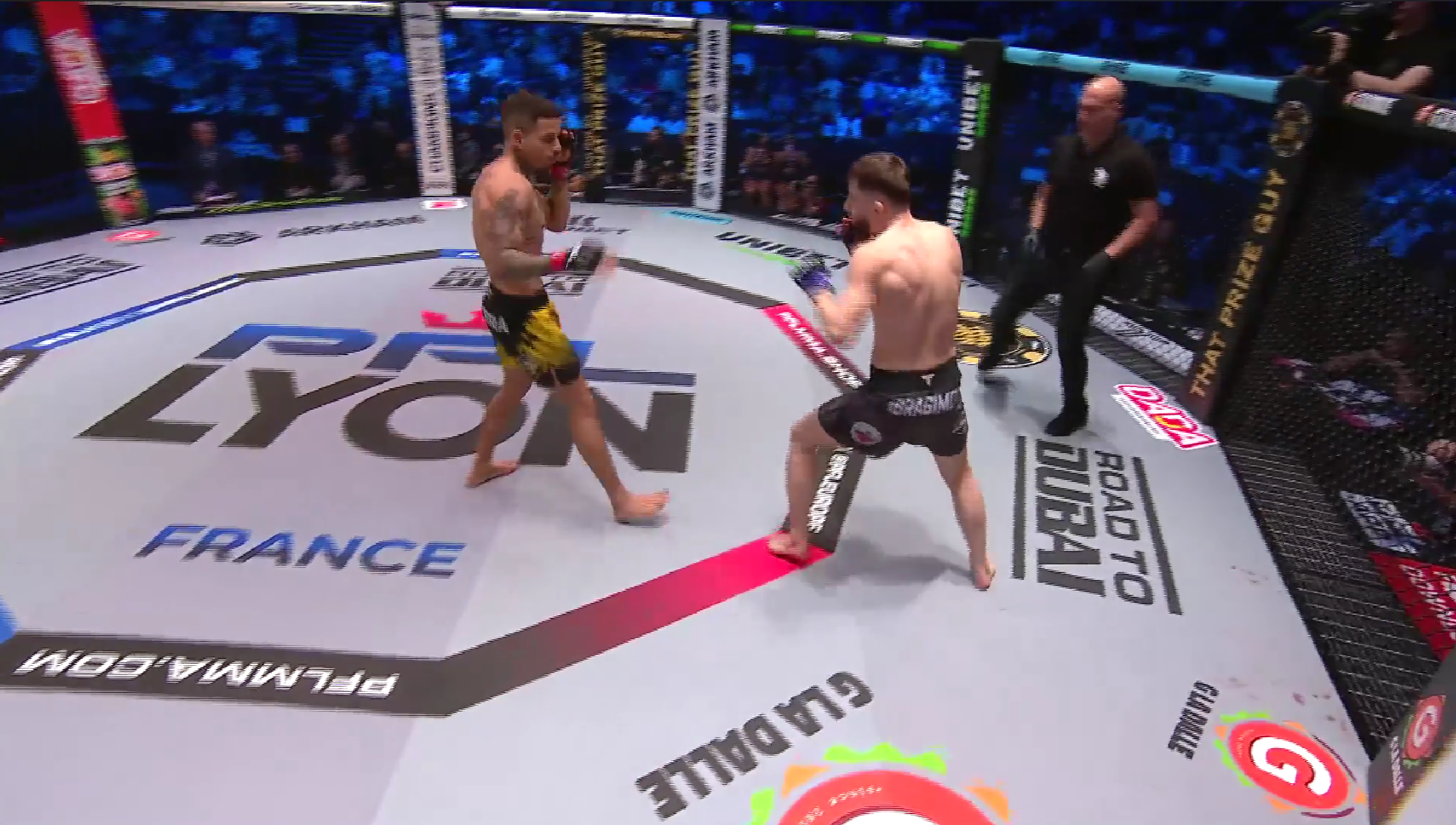 Gustavo Oliveira vs. Movsar Ibragimov Highlights