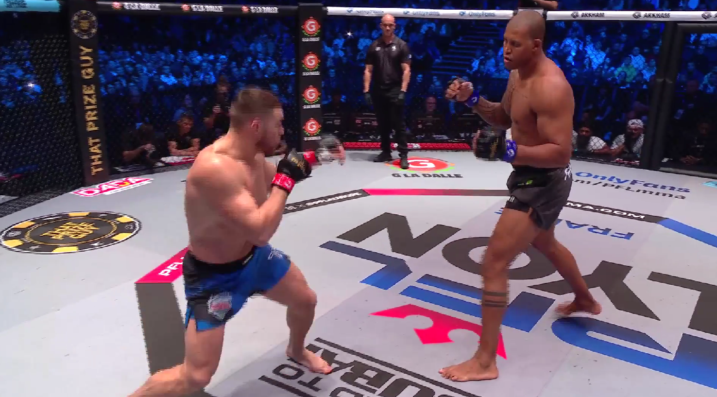 Vadim Nemkov vs. Renan Ferreira Highlights