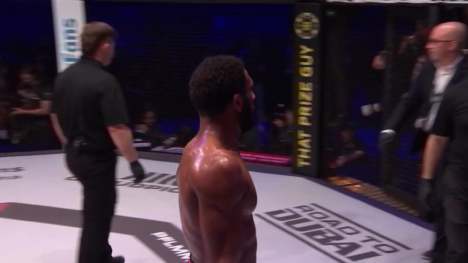 AJ McKee vs. Adam Borics - Fight Highlights