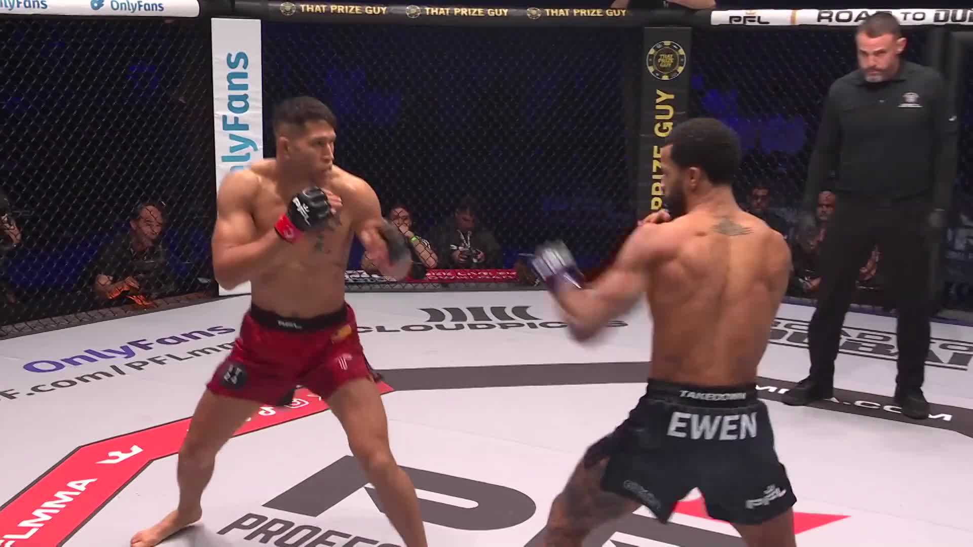 Gino van Steenis vs. Mark Ewen - Fight Highlights