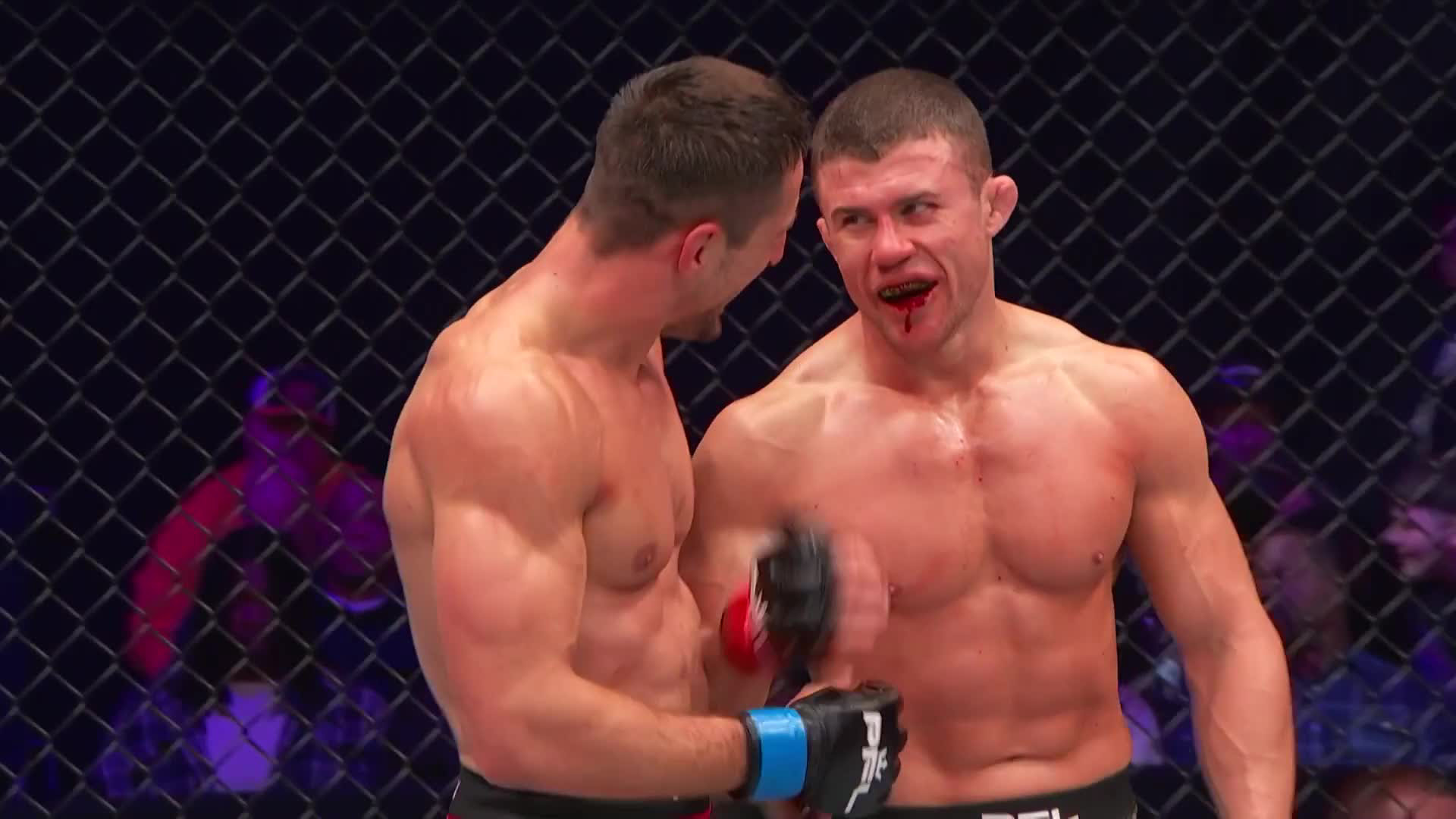 Natan Schulte vs. Jakub Kaszuba - Fight Highlights
