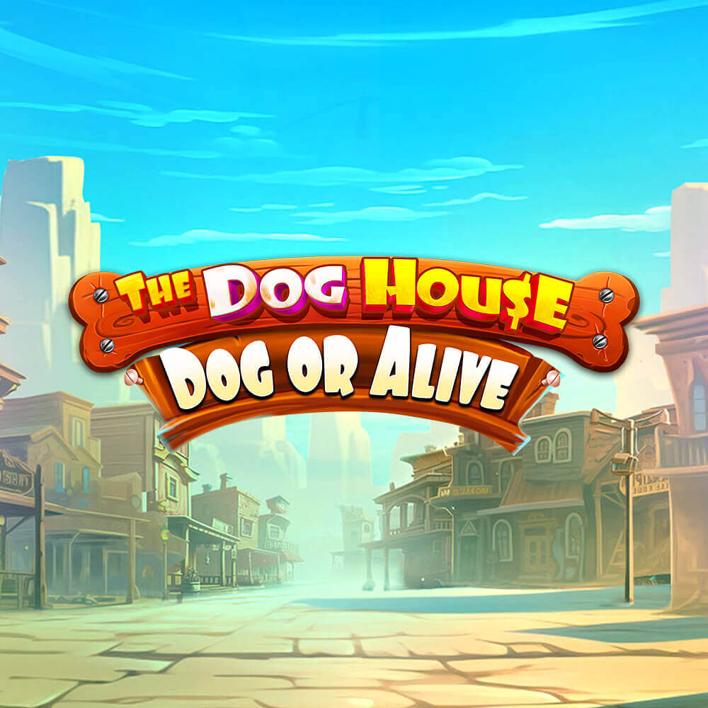 The Dog House – Dog or Alive